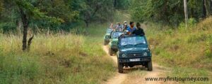 satpura national park