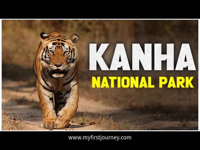 Kanha National Park